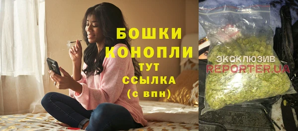 стафф Богородск