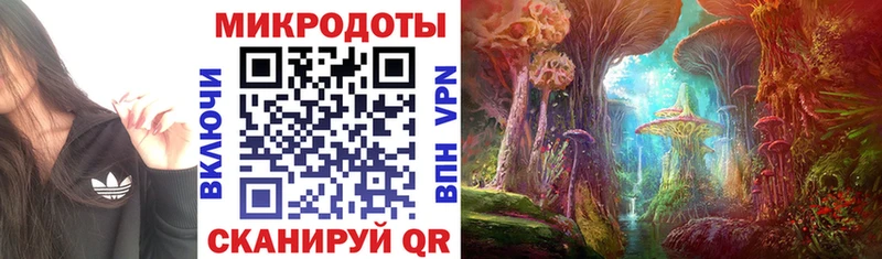 ссылка на мегу рабочий сайт  Нерчинск  Галлюциногенные грибы Magic Shrooms 